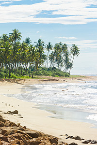 斯里兰卡的奇妙自然海滩景观图片