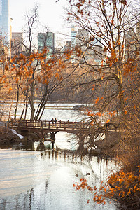 美国纽约市中央公园Bank Rock湾橡树桥的美丽瀑布颜色图片