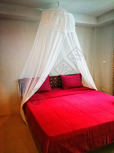 在房间里感到寂寞的红床奢华枕头羽绒被沙发风格旅行玫瑰酒店床头板睡眠图片