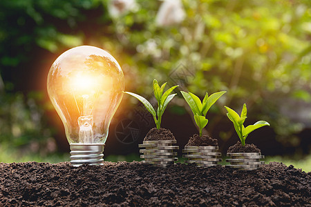 节省能源的灯泡和在硬币堆上生长的树木金融技术财富植物创新活力商业现金创造力银行业图片