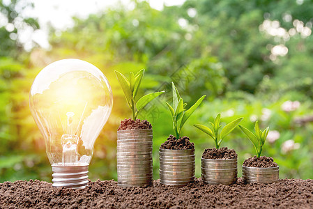 节省能源的灯泡和在硬币堆上生长的树木银行业货币创新经济金融商业玻璃植物库存力量图片