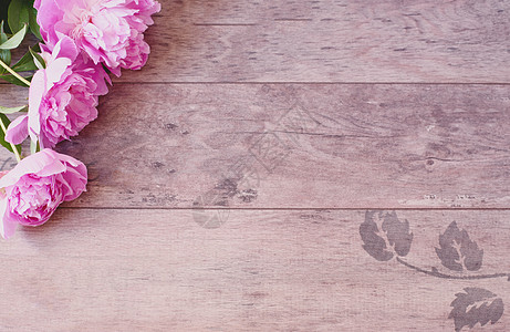 木制背景上的粉色牡丹花 风格营销摄影 称呼图库摄影 博客标题图像博客图片
