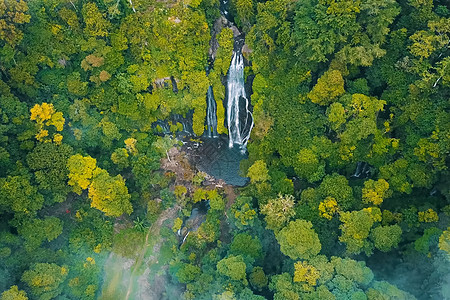 雨水林中的瀑布 从上面看 自然的瀑布美丽石头热带花园太阳木头叶子风景雨林岩石荒野图片