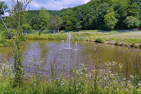 一个小池塘 池塘中间长满了杂草丛生的野花和喷泉 一个炎热的夏日 人们坐在他旁边的长凳上休息图片