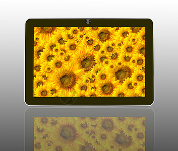 在Tablet电脑中美丽的太阳花朵图片