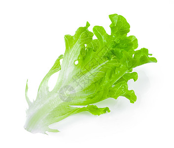 沙拉叶 白背景孤立的生菜植物白色叶子纤维树叶绿色食物冰山蔬菜营养图片