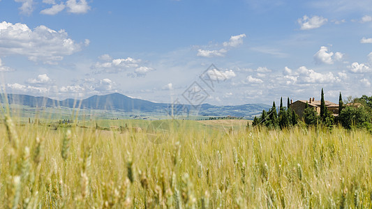 意大利 欧洲和意大利的托斯卡纳地貌草地农业农村棕色农场山坡国家乡村爬坡场地图片