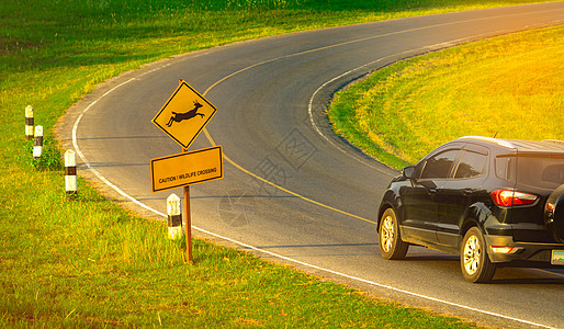 观光客的黑色SUV车在黄色交通标志附近的弯曲沥青路行驶时谨慎驾驶 有鹿跳进牌内并传递信息小心野生动物过境公园安全跳跃技术假期朋友图片