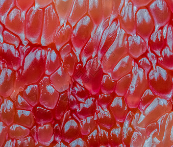 红柚纸浆纹理背景的宏观拍摄 泰国暹罗红宝石柚子 维生素 C 抗氧化剂和钾的天然来源 减缓衰老的健康食品营养工作室食物老化饮食热带背景图片