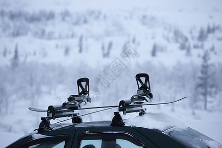 车顶上有滑雪架下坡旅行单板滑雪板行李森林车辆齿轮景观旅游图片