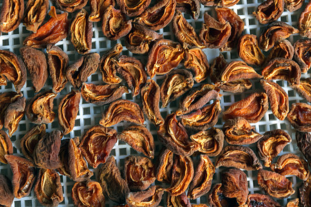 干燥机脱水器中的杏子干干干 一种保存维他命的方法醋栗工作室筹码托盘食物美食厨房塑料覆盆子太阳图片