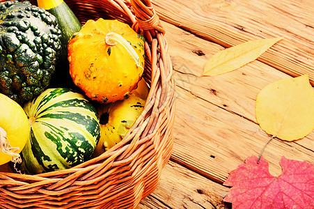 篮子中的南瓜蔬菜农业落叶食物葫芦收成饮食壁球乡村季节图片
