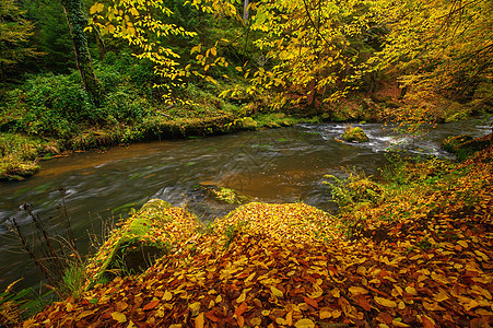 美丽的河流流淌着秋天的森林风景金子墙纸橙子公园流动阳光岩石瀑布场景图片