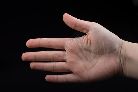 人手的五根手指部分可见于目光数数棕榈展示数字手势问候语个性化倒数身体拇指图片