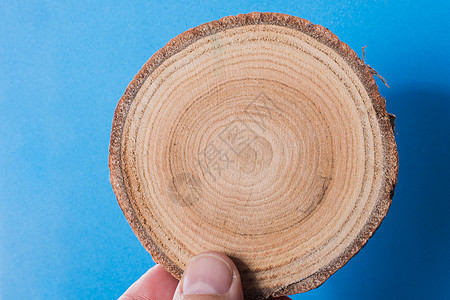 韩版小截木原木戒指木头裂缝日志树桩树干木件背景图片