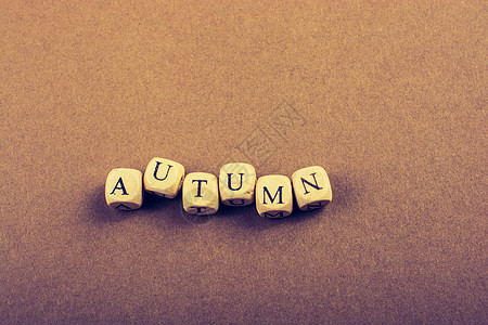 秋天秋天作文或概念和词 Autum树叶创造力植物季节性字母背景生活锥体松树刻字图片
