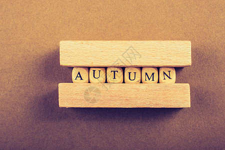 秋天秋天作文或概念和词 Autum树叶刻字季节性锥体创造力字母植物叶子生活松树图片