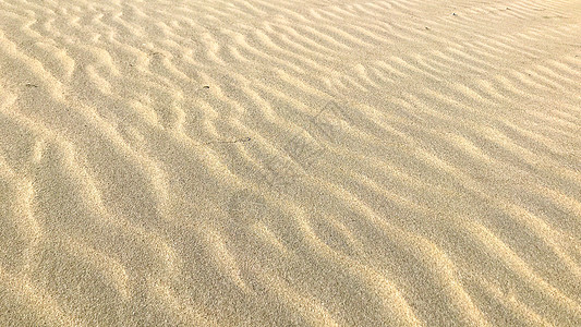 砂背景纹理金子旅行场景海岸假期宏观海洋气候涟漪地面图片