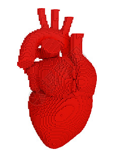 3d 打印心脏分离创新科学手术药品3d印刷技术实验室保健电气图片