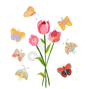 手绘蝴蝶以蝴蝶为例的春花绘画草本植物白色海报植物学草本叶子卡通片草地草图背景