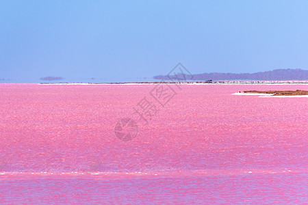 西澳大利亚州Gregory旁边的粉红湖 地平线上有幻影图片