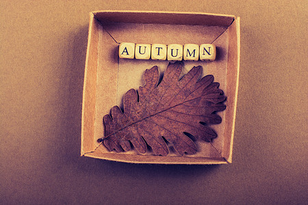 秋天秋天作文或概念和词 Autum作品秋叶植物季节性刻字创造力生活背景字母锥体图片