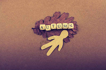 秋天秋天作文或概念和词 Autum字母植物叶子秋叶树叶锥体作品创造力生活松树图片