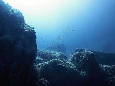 太阳照耀的岩石海床背景风景液体潜水阳光藻类水族馆射线冒险地面海洋图片