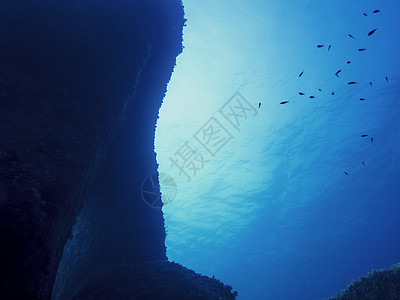 有小鱼和岩石的水底底底底底水下风景太阳潜水液体阳光射线水族馆海景冒险光束图片