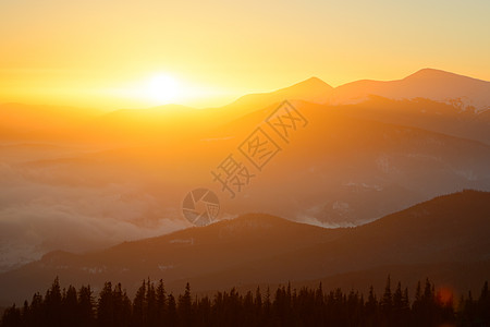 乌克兰喀尔巴阡山脉的日出 太阳在乌克兰最高点胡佛拉山上空升起天堂冒险高山风景顶峰森林阳光季节首脑蓝色图片