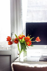 电脑监视器附近一个花瓶站的红色郁金香阁楼小样商业花朵家具花束装饰木头咖啡教育图片