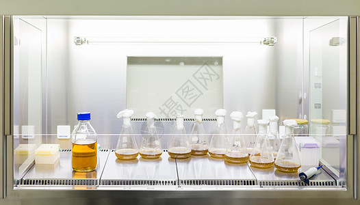 贴近Petri盘中LB agar介质的细胞培养样本微生物学平板手套科学实验盘子临床基因生物学测试图片