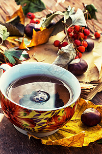 秋秋茶树叶茶碗食物生活叶子桌子木头咖啡饮料花园图片