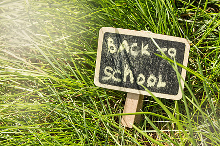 阳光落在绿草和黑板上 上面写着回到学校 教育 培训 教师节的概念公园强光框架粉笔笔记课堂字母学生说谎学习图片