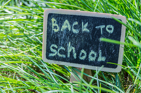 阳光落在绿草和黑板上 上面写着回到学校 教育 培训 教师节的概念老师公园学生课堂笔记理念说谎蜡笔商业强光图片