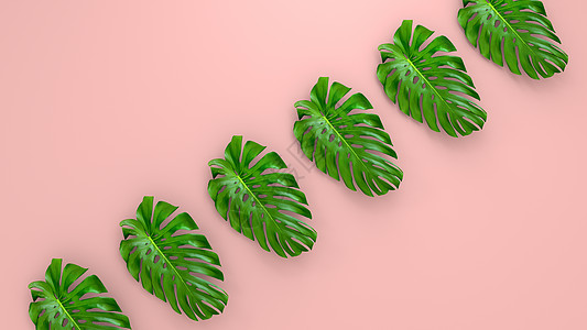 珊瑚生活背景上逼真的棕榈叶用于化妆品广告或时装插画 热带框架异国情调的香蕉棕榈 销售横幅设计  3D仁德海报插图丛林植物植物学叶图片
