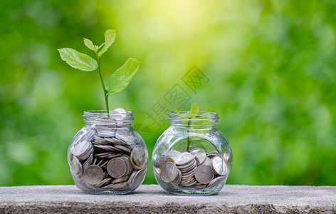 硬币树玻璃罐植物从玻璃罐外的硬币生长 绿色自然背景模糊 省钱和投资金融概念生活利润瓶子种子储蓄叶子银行商业货币金子图片