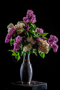 黑色背景的花瓶里有花粉木头艺术绘画礼物季节花瓣杯子叶子桌子植物图片