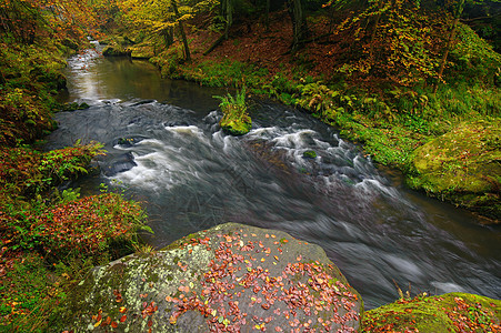 美丽的河流流淌着秋天的森林阳光金子橙子瀑布流动墙纸季节场景岩石公园图片