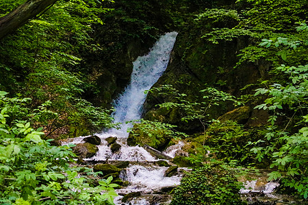 森林石头一连串的小瀑布 流经森林旅行叶子治疗风景力量石头环境流动自然岩石背景