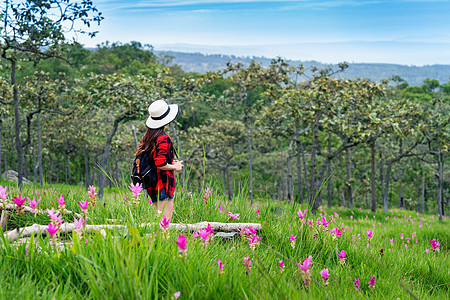 带背包的女旅行者在泰国克拉秋花田享受 旅行概念远足森林花朵摄影师假期探索女性远足者冒险相机图片