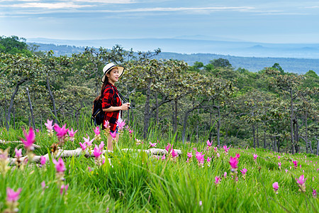 带背包的女旅行者在泰国克拉秋花田享受 旅行概念远足者相机远足游客帽子森林女士女孩花朵冒险图片