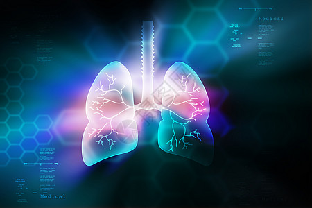彩色细菌中的人肺呼吸科学胸部想像力净化器官插图支气管炎食道教育图片