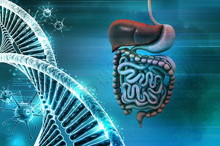 色背景中带有DNA和病毒的人类消化系统胰腺胆囊药品肠胃原理图图表身体解剖学腹部图片