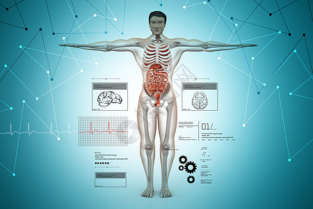 人体解剖药品卫生骨干测试生物科学姿势插图神经胸部图片