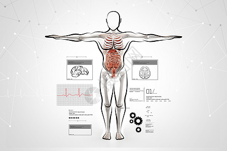 人体解剖生物科学姿势器官保健身体疼痛测试射线插图图片