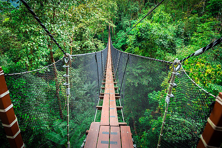 木林桥挂在树上丛林金属踪迹植物人行道建筑路线吊带衬套荒野图片