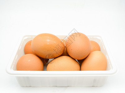 白塑料箱中的鸡蛋 新鲜褐蛋盒子烹饪脆弱性食品食物饮食生产生长家禽蛋壳图片