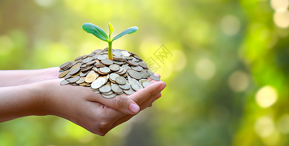 树长在桩上 为未来存钱 投资理念和业务增长 绿色背景与散景太阳叶子信用金融现金成功银行治理利润股东生态图片