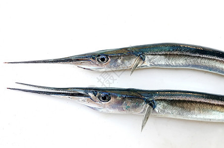 白色背景的新鲜原始针头鱼饮食工作室海鲜营养市场健康针鱼荒野孤身一人海鱼图片
